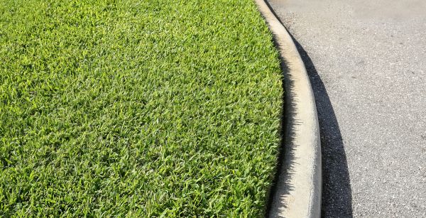 Cost of Street Curb Repair in Goldsboro