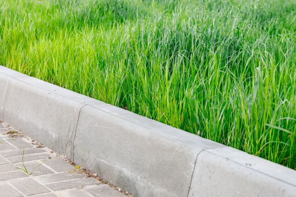 Concrete Curb Repair in Goldsboro