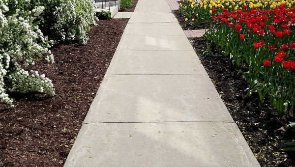 Concrete Pathway Repair in Goldsboro