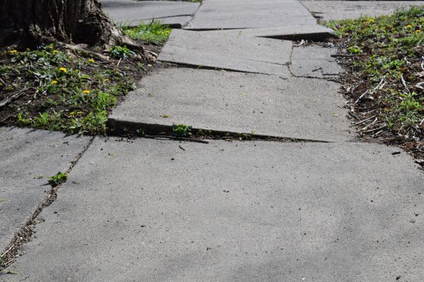 Trip Hazard Removal in Goldsboro
